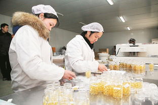 長葛蜂產(chǎn)業(yè) 星星之火，如何實(shí)現(xiàn)蜂火燎原