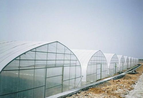 拱形薄膜溫室大棚建設中的薄膜改進措施